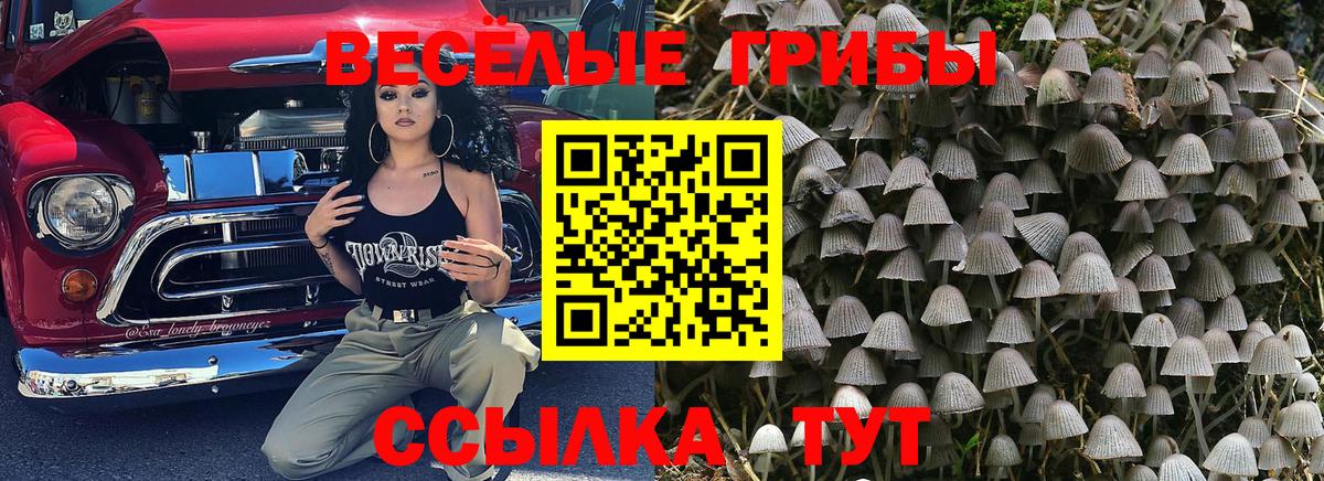 Галлюциногенные грибы MAGIC MUSHROOMS Саратов