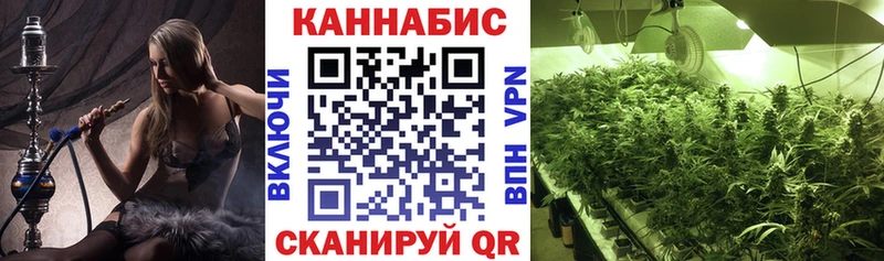 Каннабис семена купить наркотик Саратов